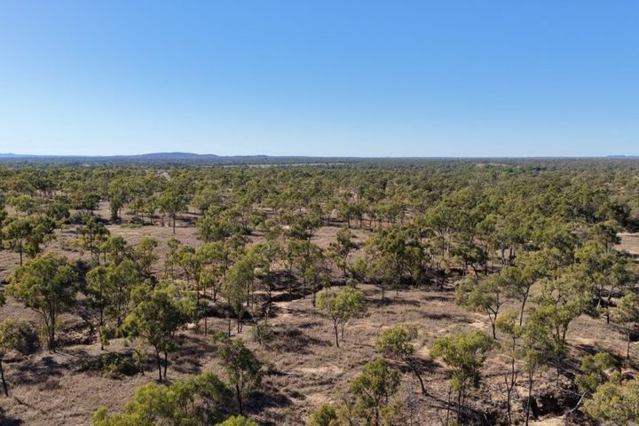 DJI_20250804091711_0003_D